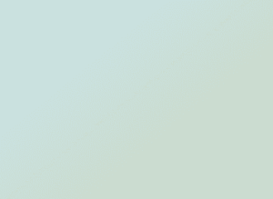 Frame 127